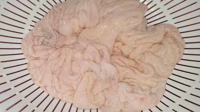 Sơ chế sạch lòng ngựa giúp giảm bớt mùi hôi của lòng