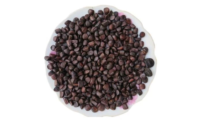 Hạt dổi Tây Bắc