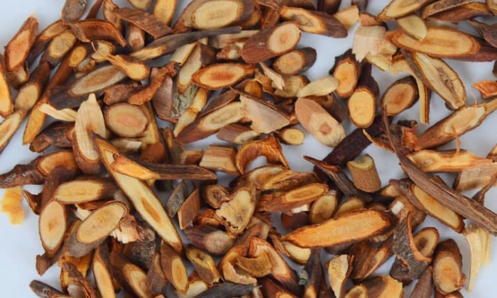 Quế chi - Một trong các gia vị nấu thắng cố ngựa