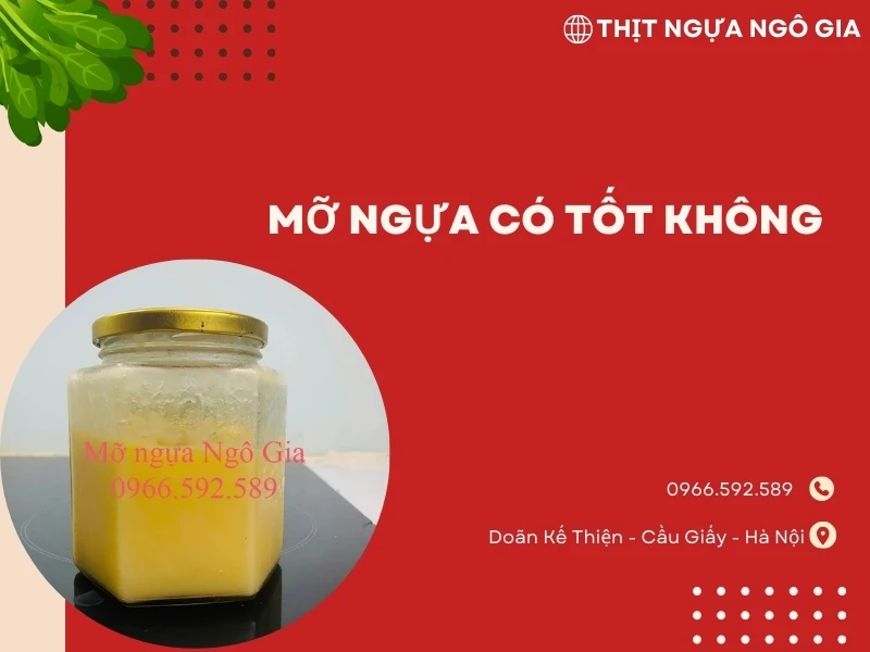 Mỡ ngựa có tốt không? Cách sử dụng mỡ ngựa trong làm đẹp da